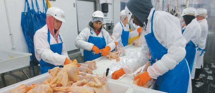 Fraser Valley Specialty Poultry near Yarrow, B.C., has 100 employees and produces, processes and sells to ethnic markets.  |  Fraser Valley Specialty Poultry photo