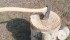 The Wetterlings Large Hunting Axe has a handmade head with a quality carbon steel edge. | Kim Quintin photo