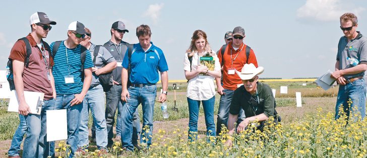 Provincial weed expert Clark Brenzil with Saskatchewan Agriculture, kneeling, assesses herbicide damage in controlled plots during the Crop Diagnostics School at Agriculture Canada’s research farm at Scott, Sask.  |  Brian Cross photo