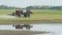 While flood waters continue to pour onto his land, Cortney Solonenko of Tonkin, Sask., finds the high ground to spray for weeds on his canola fields July 3. Producers were facing a compressed spraying season before recent rains, but experts suggest keeping a lid on speed where possible. | William Dekay photo