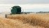 Author Gary Kleppel argues that problems resulting from industrial agriculture and monoculture demand a transition to smaller farming operations. | File photo