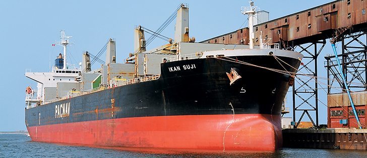 M.V. Ikan Suji finished loading Aug. 8 at Churchill and was the port’s first grain ship for the 2014 season.  |  Richardson International Photo