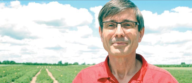 Steve Loewen is working with 1,200 breeding lines in this sandy-loam field near Ridgetown, Ont.  |  Jeffrey Carter photo