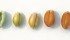 Kernels at various times during grain filling. Left to right: kernel at watery ripe, kernel at late milk, kernel at soft dough, kernel at hard dough showing loss of green colour, and kernel ripe for harvest. | Michael Raine photos