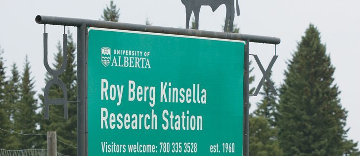 The University of Alberta’s Kinsella Research Station has been renamed to recognize Roy Berg’s contribution to the beef industry. | Mary MacArthur photo