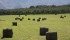 A combination of rain and humidity has hampered hay production this year in many regions, making it tough to put up good green hay. | File photo