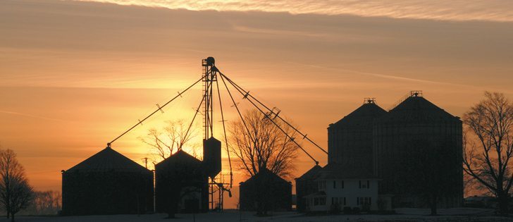 Grain in the bin from last year’s bountiful harvest may be a blessing as it can be used for blending with this year’s poorer quality crops.  |  File photo