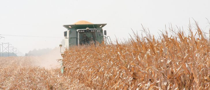 Analysts expect U.S. land prices to remain near record high levels based on a growing demand for grain and meat exports.   |  File photo  