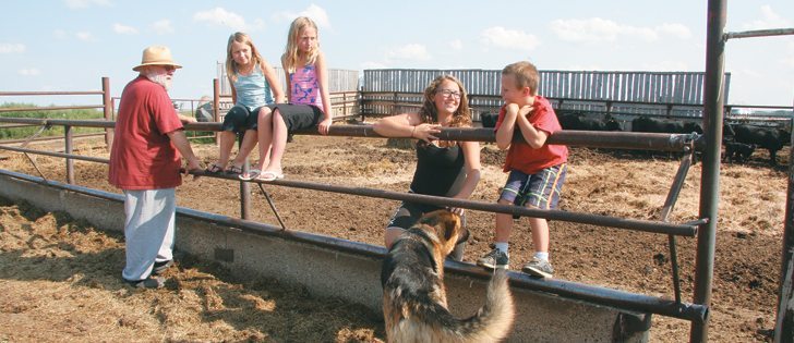 Terry Murray visits with his grandchildren, Tessa Burke, left, Rayna Murray, Jenna Burke and Brock Murray on his cattle and grain farm near Wainwright, Alta.  |  Karen Morrison photo
