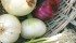 Choosing the right onion for the job