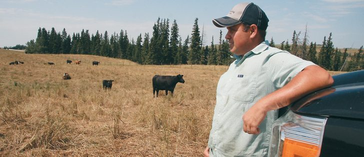 John Grykuliak checks cattle at his farm near Myrnam, Alta.  |   Karen Morrison photo