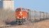With limited storage and a large harvest haul expected south of the border, U.S. officials are asking Canadian Pacific Railway to add resources. | File photo