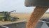 While Canadian wheat had a negative basis last winter, poor quality in this year’s harvest now has buyers offering a premium over the Minneapolis futures. | William DeKay photo