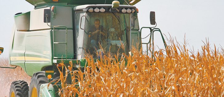 A market analyst expects December corn futures to test $3.20 following the release of the USDA supply and demand estimate.  |  File photo