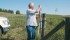 Plentiful rainfall and pasture management accounted for good grass growth at the Brian Chrisp farm near Vermilion, Alta. He opens a gate to check on his purebred cattle at Misty Hills Charolais. | Karen Morrison photo