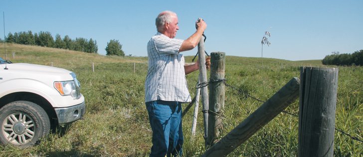 Plentiful rainfall and pasture management accounted for good grass growth at the Brian Chrisp farm near Vermilion, Alta. He opens a gate to check on his purebred cattle at Misty Hills Charolais. | Karen Morrison photo