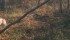 Trail cameras, if properly concealed, can also work to capture incriminating photos of poachers, as well as images of wildlife. | Kim Quintin photo