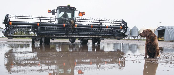 The eastern part of the Prairies will likely remain wetter for the next 20 years, says an historic climatologist.  |  File photo