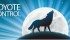 They’re the bane of many sheep producers across the Prairies. These intelligent, territorial animals can be difficult to discourage but there are ways to prevent livestock loss. | Michelle Houlden graphic