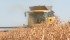Falling crop prices haven’t hit prairie land rental rates yet, but if revenue continues to decline it will eventually take rates down from the high levels of recent years, say experts. | File photo