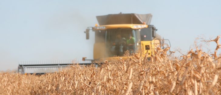 Falling crop prices haven’t hit prairie land rental rates yet, but if revenue continues to decline it will eventually take rates down from the high levels of recent years, say experts.  |  File photo
