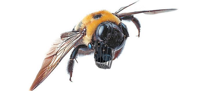 Few Canadian toxicologists and environmental scientists are willing to speak up against claims that neonicotinoids kill bees and birds because they are often portrayed as "agents of evil" by the media and other scientists. To join the conversation, include @CdnAg in your tweet, add your thoughts in the comment section at the bottom of the page, or find this story posted on The Western Producer Facebook page. 