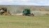 Watch McMillan's Markets for the most important crop and livestock market information of the week. | Robin Booker photo.