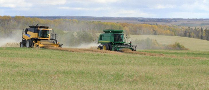 Watch McMillan's Markets for the most important crop and livestock market information of the week. | Robin Booker photo.