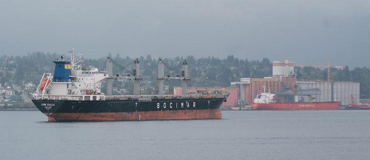 Overseas sales could suffer if the Canadian grain industry fails to iron out delivery and quality issues with grain shipments, warns a Singapore-based buyer.  |  File photo