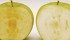 The genetically modified Arctic apple, right, doesn’t brown as quickly as the conventional granny, right. | Arctic Apples photo