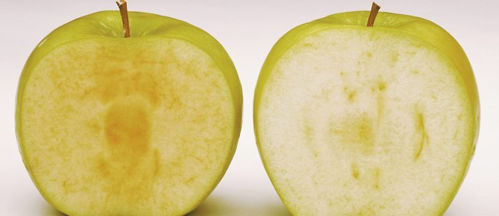 The genetically modified Arctic apple, right, doesn’t brown as quickly as the conventional granny, right.  |  Arctic Apples photo