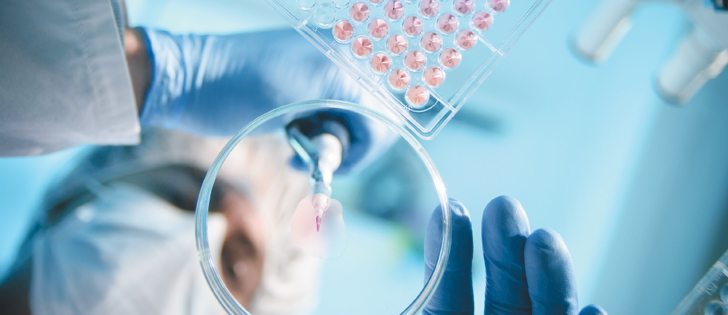 Using metagenomics, brain tissue showing inflammation can be examined for unknown viruses to determine the cause.  |  File photo