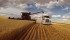 The Schultz family farms 4,500 acres near Standard, Alta. Their 2014 cropping season is documented by Jay Schultz in video. | jay Schultz photo
