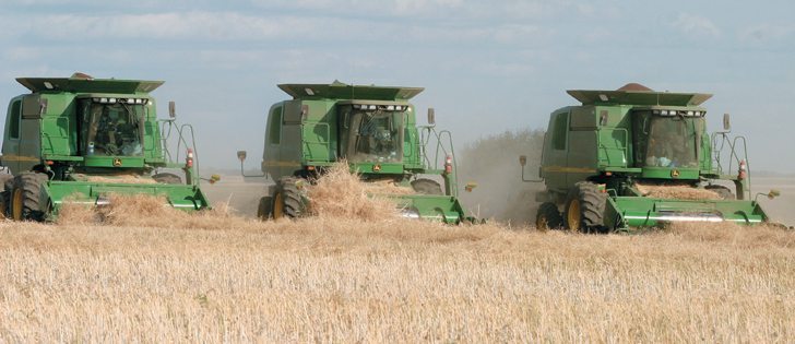 Canola swaths like these might soon be a part of prairie history.  |   File photo