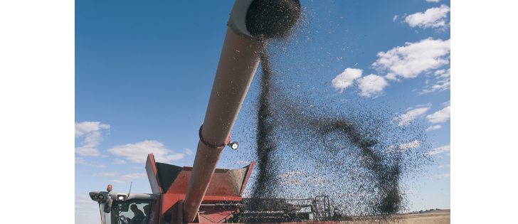 In Canola Council of Canada trials, best management practices outperformed applications of several new fertilizer products that make yield-boosting claims.  |  File photo