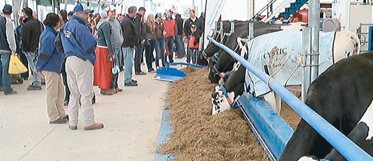 At Canada’s Outdoor Farm Show in Woodstock, Ont., this summer, Nancy Charlton, veterinarian and herd management specialist for DeLaval, described its Herd Navigator program 
for dairy barns.
Each parlor is equipped with a milk-sampler box that provides diagnostic tests on issues of ketosis, urea and progesterone.  |  Robin Booker photo