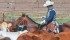 High cattle prices have prompted producers to seek more flexibility in their financing arrangements. | File photo