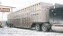 Canada has a code of practice for livestock transport but it has not been updated since 1991. An update may be undertaken by the National Farm Animal Care Council. | File photo