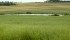 To have your tweets included in the twitter widget below, include @CdnAg in your tweets.
Do you think Canada’s crop regulations place Canadian farmers at a disadvantage? | Robin Booker photo