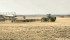 Do you change how your farm is managed when prices fall for crops you traditionally grow?
Include @CdnAg in your tweets to have them added in the twitter widget below. | Robin Booker photo.