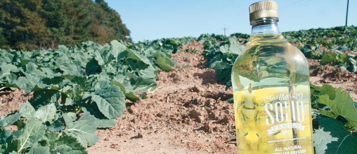 AgStrong, a canola processor in Bowersville, Georgia, markets its own line of non-GM, expeller pressed canola oil under the Solio Family brand.  |   Robert Arnason photo