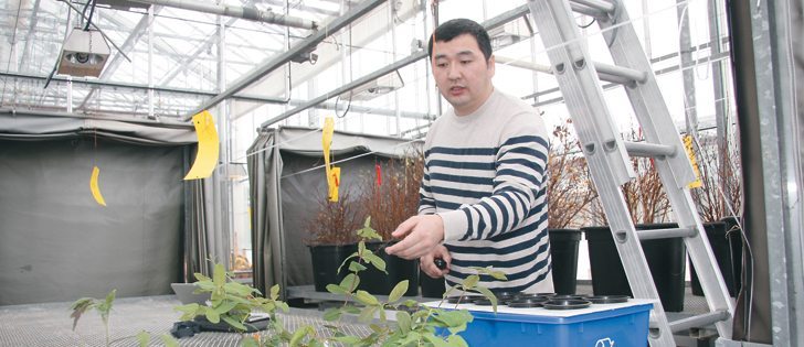 PhD student Bayartulga Lkhagvasuren is studying the ecology of wild haskap at the University of Saskatchewan. Saskatchewan Fruit Growers Association delegates toured the university greenhouses during their annual conference Jan. 16. |  Karen Morrison photo