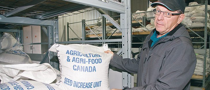Dave Gehl has retired as officer in charge of the Indian Head research farm. The seed increase unit is one of the major functions of the farm staff, providing breeder seed to researchers across western Canada.  |  Karen Briere photo