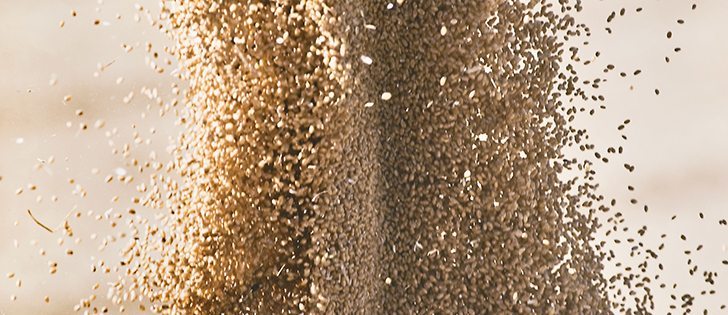 Ukraine is asking traders to voluntarily curb grain exports, while Russia has already introduced export tariffs to prevent domestic shortages. |  file photo