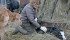 Calving related difficulties require immediate response. | File photo