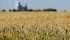 Watch Canada’s ag. markets updates for the most important crop and livestock market information of the week. | Robin Booker, photo
