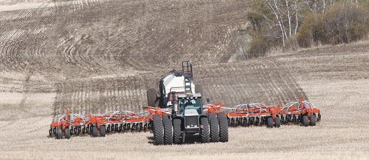 Farmers are planning to pull back from wheat, stick with heavy canola acres and boost their durum, barley, oats, lentils, peas and flax acreage, says Agri-Trend founder Rob Saik. | File photo