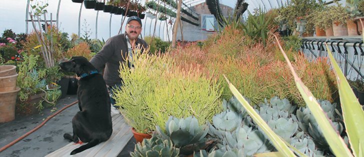 The firestick is Roger Valliere’s favourite succulent of the 1,500 varieties he grows in his greenhouses near Saskatoon. He named his restaurant after the plant.  |  Sean Pratt photo