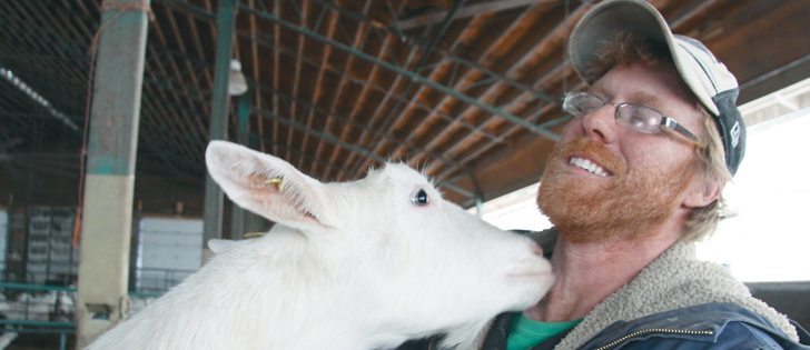A goat jumps to greet Jason Lyons, who runs a dairy goat operation near Caledon, Ont. Lyons grew up on a cow dairy farm but never developed a bond with cattle. He thinks goats have “10 times the personality of a cow.”  |  Robert Arnason photo