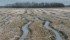 Saturated fields are vulnerable to weeds that may require different control methods. | File photo